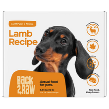 BACK2RAW Complete Lamb 12lb BOX