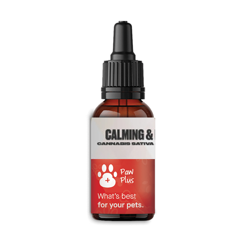 Paw Plus Non Flavoured Calming & Healthy