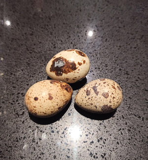 PMR Quail Eggs