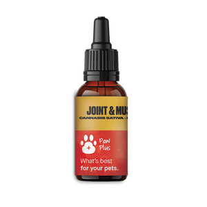 Paw Plus Non Flavoured Joint & Muscle Health