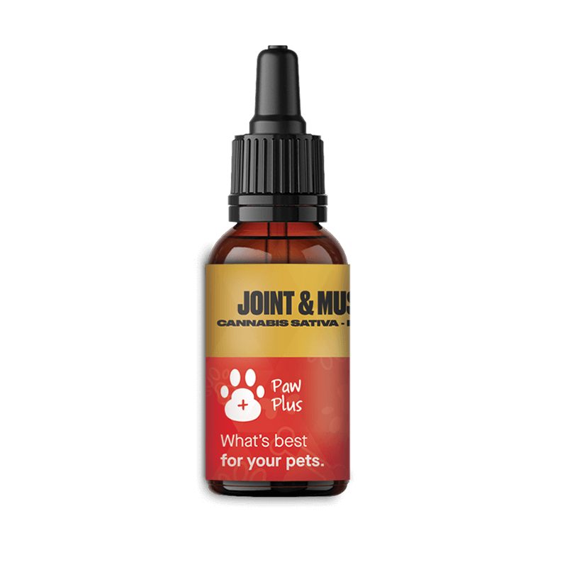 Paw Plus Non Flavoured Joint & Muscle Health